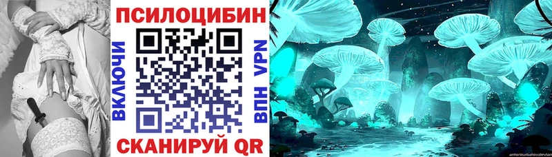 Галлюциногенные грибы ЛСД  Западная Двина 
